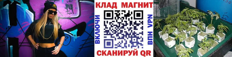 Купить закладку А ПВП Галлюциногенные грибы Codein Бошки Шишки Мефедрон Амфетамин ГАШИШ Катайск